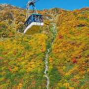 ひかる 秋ですね かまくら御殿