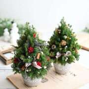 ヒメ日記 2025/12/14 10:19 投稿 ひかる かまくら御殿