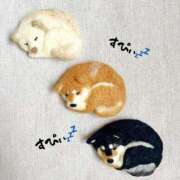 ヒメ日記 2026/01/17 22:30 投稿 ひかる かまくら御殿