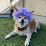 ひかる 次回は かまくら御殿