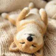 ヒメ日記 2026/03/14 11:38 投稿 ひかる かまくら御殿