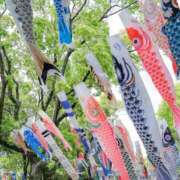 ヒメ日記 2026/05/02 16:35 投稿 ひかる かまくら御殿