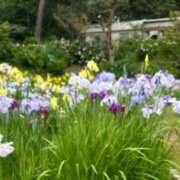 あさみ こんにちは、あさみです😊 北九州人妻倶楽部（三十路、四十路、五十路）