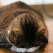 ヒメ日記 2025/02/15 14:12 投稿 ゆうな 横浜回春性感マッサージ倶楽部