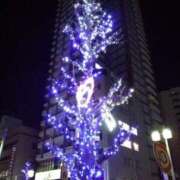 ヒメ日記 2024/12/18 00:48 投稿 明香(あすか) 相模原人妻城