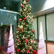 ヒメ日記 2024/12/26 02:39 投稿 明香(あすか) 相模原人妻城