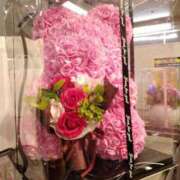 ヒメ日記 2025/05/11 07:27 投稿 明香(あすか) 相模原人妻城