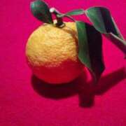 ヒメ日記 2025/12/22 10:48 投稿 明香(あすか) 相模原人妻城