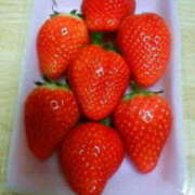 ヒメ日記 2026/01/31 08:03 投稿 明香(あすか) 相模原人妻城