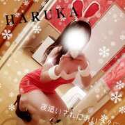 ヒメ日記 2024/12/24 10:02 投稿 はるか 妄想M男キラーエムドグマ・Sドグマ