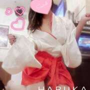 ヒメ日記 2025/01/18 10:01 投稿 はるか 妄想M男キラーエムドグマ・Sドグマ