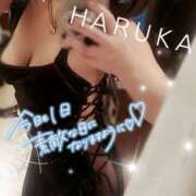 ヒメ日記 2025/01/23 09:06 投稿 はるか 妄想M男キラーエムドグマ・Sドグマ