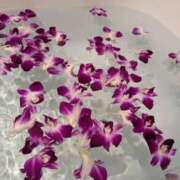 ヒメ日記 2025/10/06 10:02 投稿 こはる ロリ性感と痴女教師 池袋ちんぐり学園