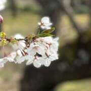 ヒメ日記 2025/04/06 20:00 投稿 ゆい 手こき＆オナクラ 大阪はまちゃん