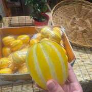 ヒメ日記 2025/07/10 20:26 投稿 ゆい 手こき＆オナクラ 大阪はまちゃん