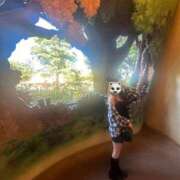 ヒメ日記 2025/12/26 13:01 投稿 ゆい 手こき＆オナクラ 大阪はまちゃん