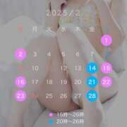 ヒメ日記 2025/01/31 18:28 投稿 にこ バニラシュガー古河店