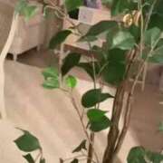 ヒメ日記 2025/02/09 02:15 投稿 にこ バニラシュガー古河店