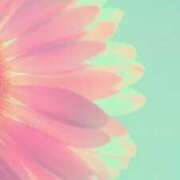 ヒメ日記 2025/07/11 10:38 投稿 みほ 甲府人妻隊