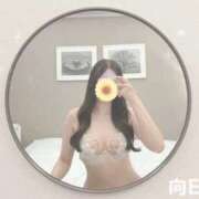 ヒメ日記 2025/03/17 12:16 投稿 向日葵(ひまわり 神戸泡洗体ハイブリッドエステ