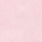 ヒメ日記 2025/01/09 21:05 投稿 もか 手こき＆オナクラ 大阪はまちゃん