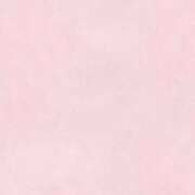 ヒメ日記 2025/01/25 22:20 投稿 もか 手こき＆オナクラ 大阪はまちゃん