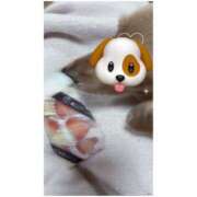 ヒメ日記 2025/03/01 19:50 投稿 もか 手こき＆オナクラ 大阪はまちゃん