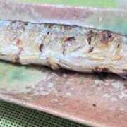 ヒメ日記 2025/09/14 20:01 投稿 さゆ 秘密倶楽部 凛 船橋本店