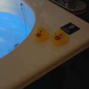 ヒメ日記 2025/05/25 09:09 投稿 なお ありのままの所沢妻