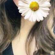 ヒメ日記 2025/02/04 15:01 投稿 ゆずき 即アポマダム～名古屋店～