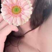 ヒメ日記 2025/04/21 02:21 投稿 ゆずき 即アポマダム～名古屋店～