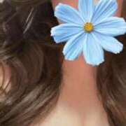 ヒメ日記 2025/05/22 00:11 投稿 ゆずき 即アポマダム～名古屋店～