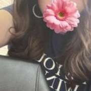 ヒメ日記 2025/07/11 03:41 投稿 ゆずき 即アポマダム～名古屋店～