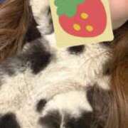 ヒメ日記 2026/01/03 20:12 投稿 ゆずき 即アポマダム～名古屋店～