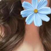 ヒメ日記 2026/01/30 17:01 投稿 ゆずき 即アポマダム～名古屋店～