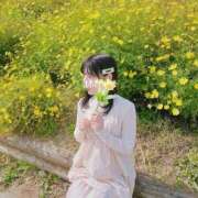 ヒメ日記 2025/09/30 18:01 投稿 みつは アリスカフェ