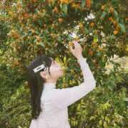 ヒメ日記 2025/10/19 12:31 投稿 みつは アリスカフェ