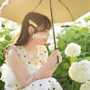 ヒメ日記 2025/10/24 17:31 投稿 みつは アリスカフェ