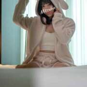 ヒメ日記 2025/12/15 18:03 投稿 みつは アリスカフェ