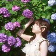 ヒメ日記 2026/06/20 23:15 投稿 みつは アリスカフェ