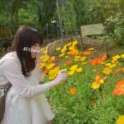 ヒメ日記 2026/09/10 15:31 投稿 みつは アリスカフェ