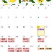 桔梗(ききょう) 【葉月のお知らせ】 ルピナス