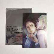 ヒメ日記 2026/03/05 08:30 投稿 桔梗(ききょう) ルピナス