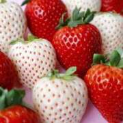 ヒメ日記 2025/03/07 13:01 投稿 松任谷　りん エテルナ京都