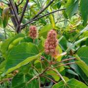 ヒメ日記 2025/07/07 12:39 投稿 りみ 艶熟妻 京都店