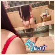 ヒメ日記 2025/03/21 06:30 投稿 浅田まほ ミスターダンディー