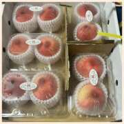 ヒメ日記 2025/06/15 12:04 投稿 浅田まほ ミスターダンディー