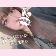 ヒメ日記 2026/02/22 12:02 投稿 りあら 船橋ときめき女学園