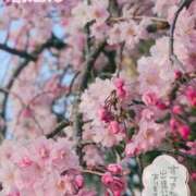 ヒメ日記 2025/04/11 16:15 投稿 みい リッチドールパート2梅田店