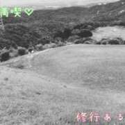 ヒメ日記 2025/06/03 16:19 投稿 みい リッチドールパート2梅田店